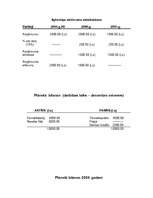 Biznesa plāns 'SIA "Ziedu leja"', 19.