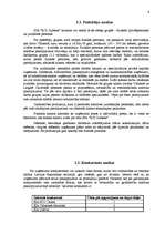 Biznesa plāns 'SIA "RCI Gulbene"', 6.