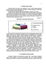 Biznesa plāns 'SIA "RCI Gulbene"', 8.