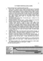 Biznesa plāns 'SIA "RCI Gulbene"', 12.