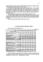 Biznesa plāns 'SIA "RCI Gulbene"', 20.