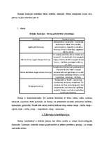 Referāts 'Rotaļa - bērna attīstības virzītājspēks', 6.