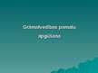 Prezentācija 'Grāmatvedības pamatu apgūšana', 1.