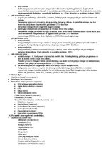 Konspekts 'Informācijas tehnoloģiju pamatjēdzieni', 3.