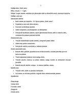 Konspekts 'Integrētas nedēļas konspekts pirmsskolā "Baltā ziema"', 2.