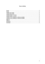 Referāts 'Analīze – kāds līderis būtu pats students', 2.