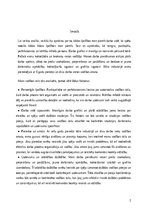 Referāts 'Analīze – kāds līderis būtu pats students', 3.