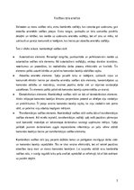 Referāts 'Analīze – kāds līderis būtu pats students', 4.