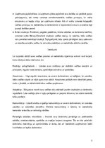 Referāts 'Analīze – kāds līderis būtu pats students', 6.