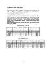 Biznesa plāns 'SIA "Ota"', 6.