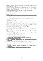 Biznesa plāns 'SIA "Ota"', 9.