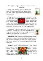 Referāts 'Telpaugu nozīme viesmīlības atmosfēras radīšanā', 8.