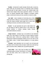 Referāts 'Telpaugu nozīme viesmīlības atmosfēras radīšanā', 9.