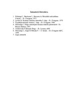 Konspekts 'E.Grīgs "Pērs Gints"', 10.