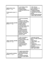 Konspekts 'Bērna attīstības periodu apraksts', 2.