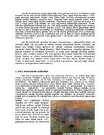 Referāts 'Impresionisms', 5.