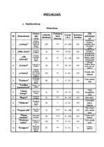 Referāts 'Jūrmalas tūrisma attīstība', 21.