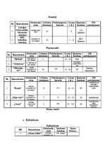 Referāts 'Jūrmalas tūrisma attīstība', 23.