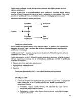 Konspekts 'Loģikas konspekts', 34.