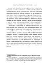 Referāts 'Latvijas judikatūras vieta tiesību avotu vidē', 13.