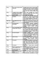 Konspekts 'Vēsturisko notikumu ietekme uz etniskās mentalitātes veidošanos', 5.