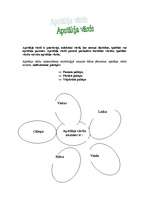 Konspekts 'Apstākļa vārdi', 1.