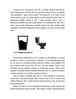 Referāts 'Alternatīvās komunikācijas veidi un izmantošanas iespējas', 3.