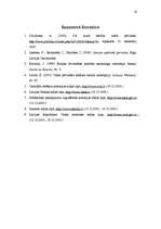 Referāts '"Neatkarīgās iestādes" Latvijas valsts pārvaldē', 14.