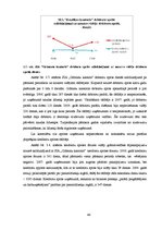Diplomdarbs 'SIA "Grāmatu kantoris" finansiālā stāvokļa analīze un novērtējums', 46.