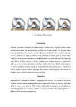 Referāts 'Osteohondritis dissecans jeb atslāņojošais osteohondrīts', 3.