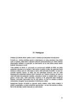 Referāts 'Tiesību sistēmai piederīgās iestādes', 23.