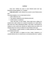 Referāts 'Vadīšanas stilu nozīme un analīze Nākotnes kultūras namā', 2.