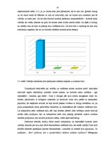 Referāts 'Vadīšanas stilu nozīme un analīze Nākotnes kultūras namā', 19.