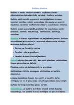 Konspekts 'Budžeta plānošana', 1.