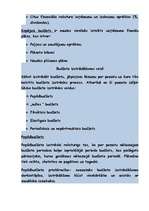 Konspekts 'Budžeta plānošana', 3.