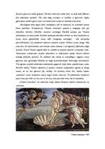 Referāts 'Agrīnās renesanses gleznotāji', 9.