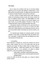 Referāts 'Vides reklāma', 1.