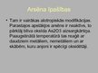 Prezentācija 'Arsēns', 3.