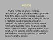 Prezentācija 'Arsēns', 9.