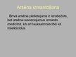 Prezentācija 'Arsēns', 12.