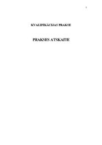 Prakses atskaite 'Personāla atlases metožu un kritēriju izpēte', 1.