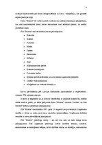 Prakses atskaite 'Personāla atlases metožu un kritēriju izpēte', 6.