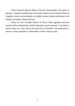 Konspekts 'Itālijas māksla un arhitektūra viduslaikos', 7.