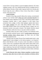 Konspekts 'Itālijas māksla un arhitektūra viduslaikos', 11.
