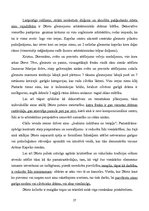 Konspekts 'Itālijas māksla un arhitektūra viduslaikos', 27.