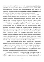 Konspekts 'Itālijas māksla un arhitektūra viduslaikos', 39.