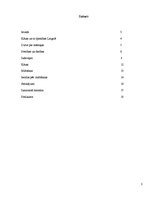 Referāts 'Kāzu paražas Latgalē', 2.