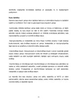 Referāts 'Civilās aizsardzības plāns - fragments', 11.