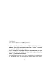 Referāts 'Globalizācijas ietekme uz Latvijas pārtikas tirgu', 27.