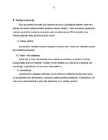 Konspekts 'Vispārējās prasības kravu uzglabāšanas iekārtām', 11.